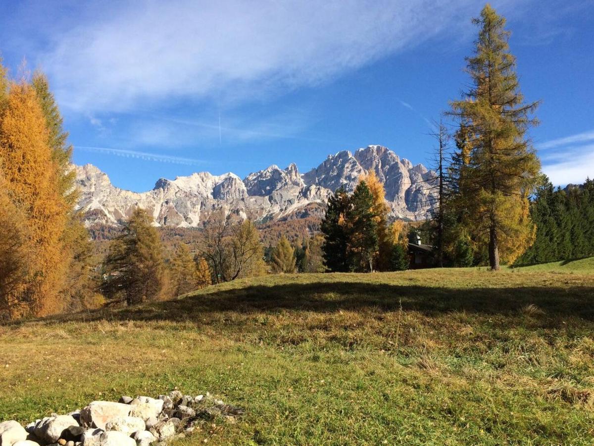 Luxury Panoramic 3Br Apt 2Min To Centre 5Min To Lifts Cortina dʼAmpezzo Exterior foto