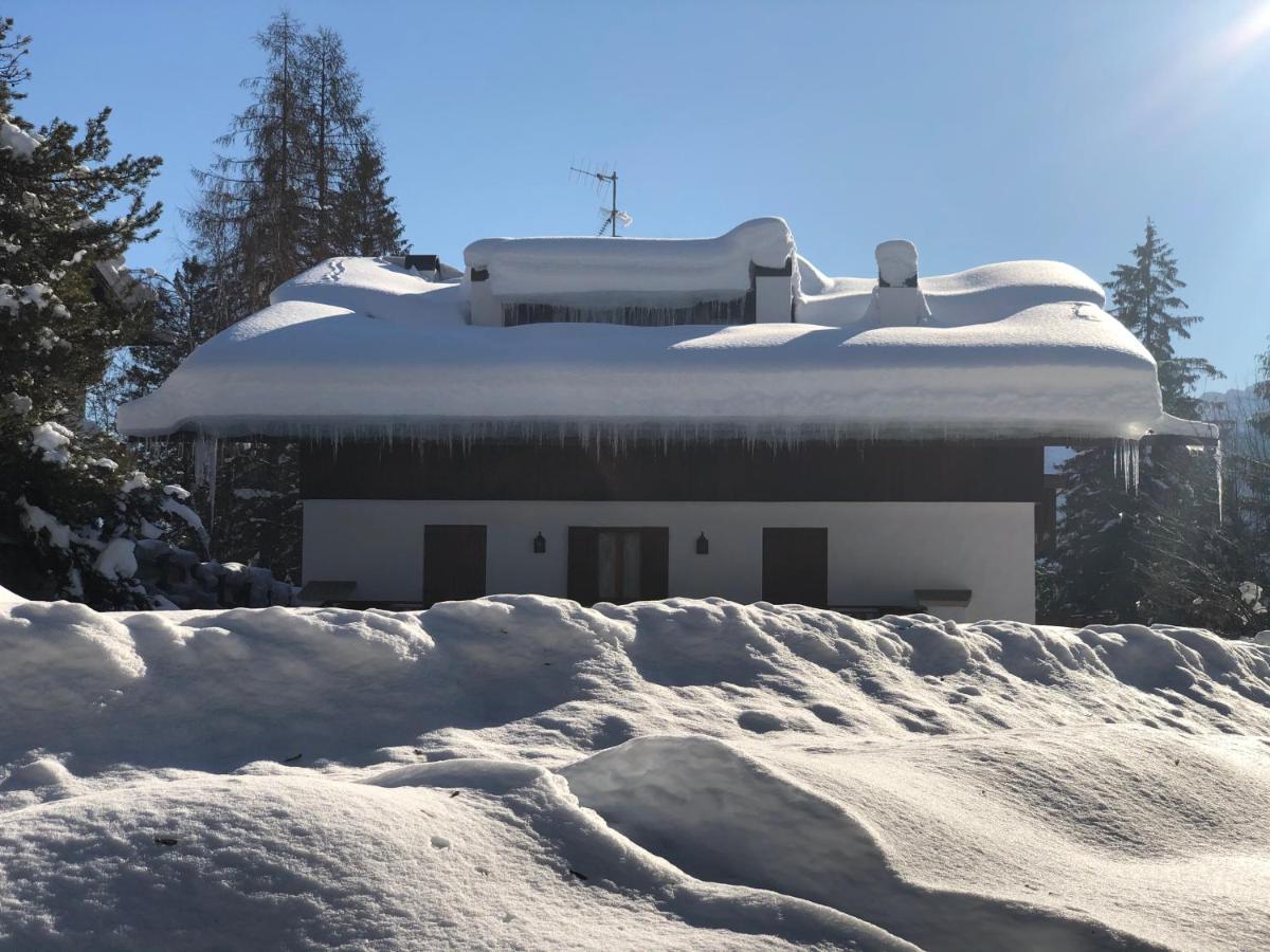Luxury Panoramic 3Br Apt 2Min To Centre 5Min To Lifts Cortina dʼAmpezzo Exterior foto