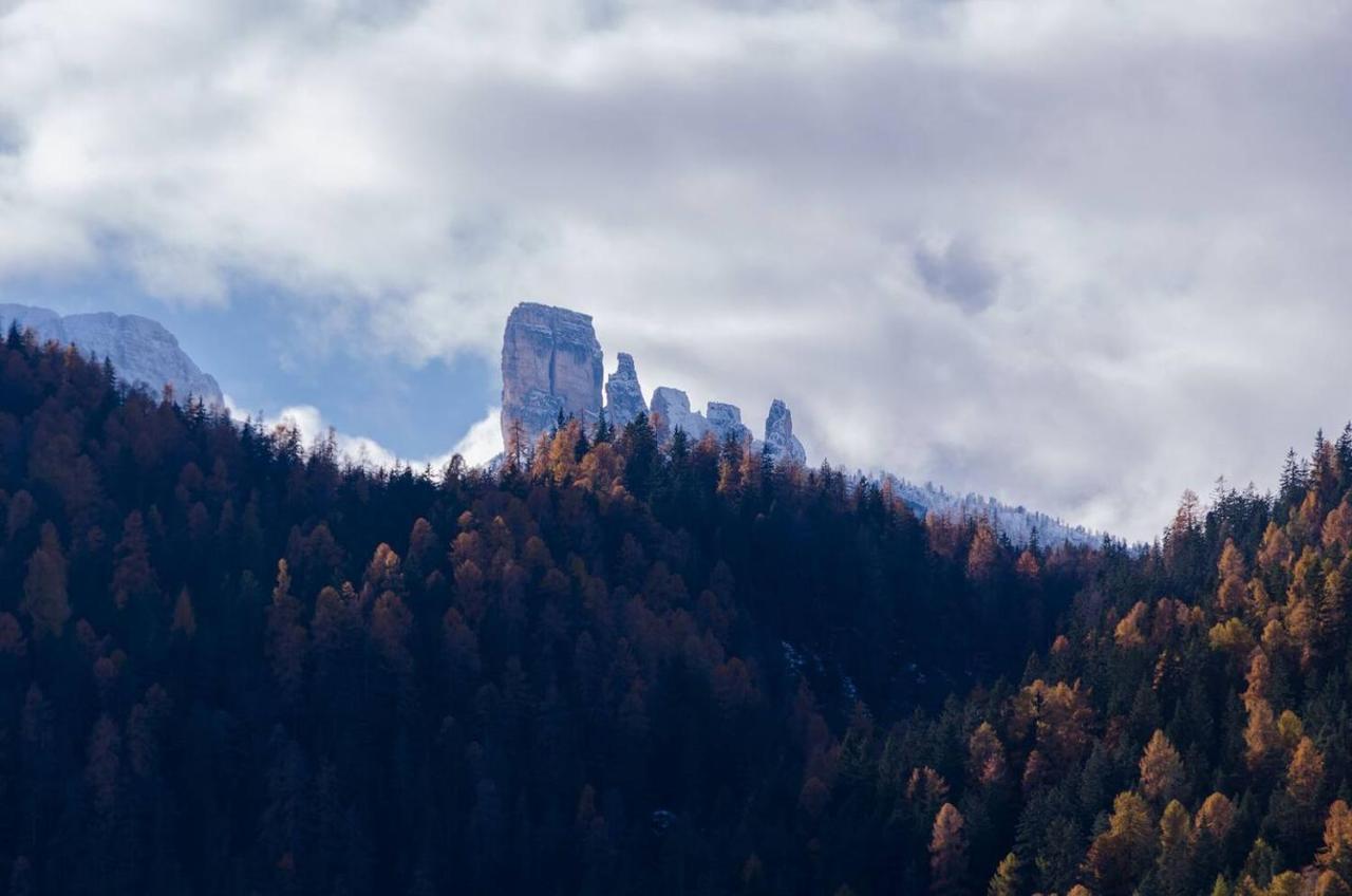 Luxury Panoramic 3Br Apt 2Min To Centre 5Min To Lifts Cortina dʼAmpezzo Exterior foto
